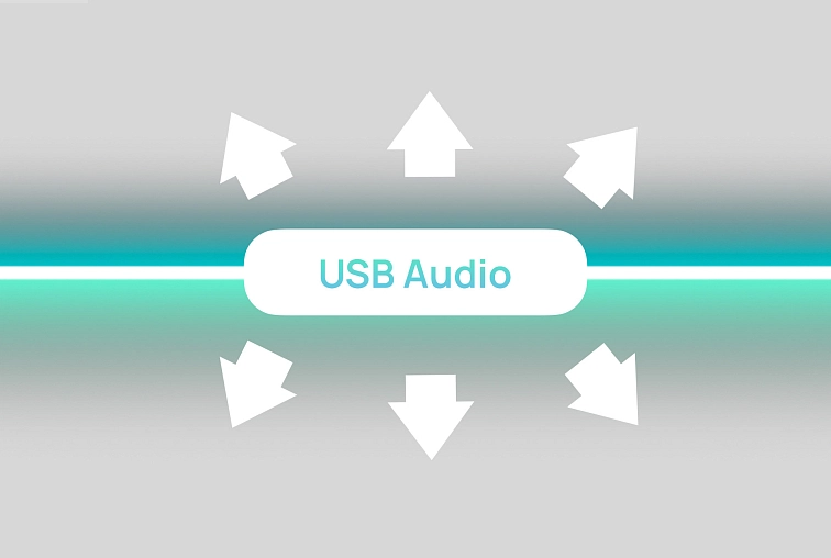 EverSolo DMP-A10 — zadní panel s XLR a RCA výstupy