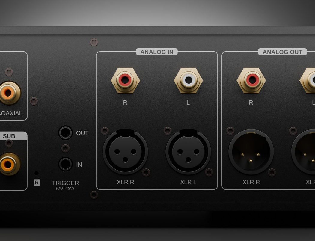 Detail zadního panelu s popsanými analogovými vstupy a výstupy XLR a RCA a konektorem trigger
