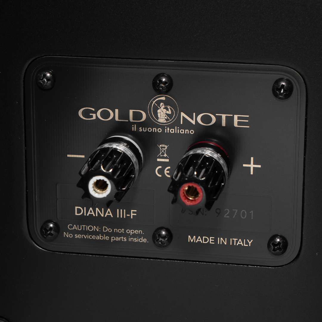 Zadní terminálová deska modulu Gold Note DIANA III-F s reproduktorovými svorkami a zlatým logem