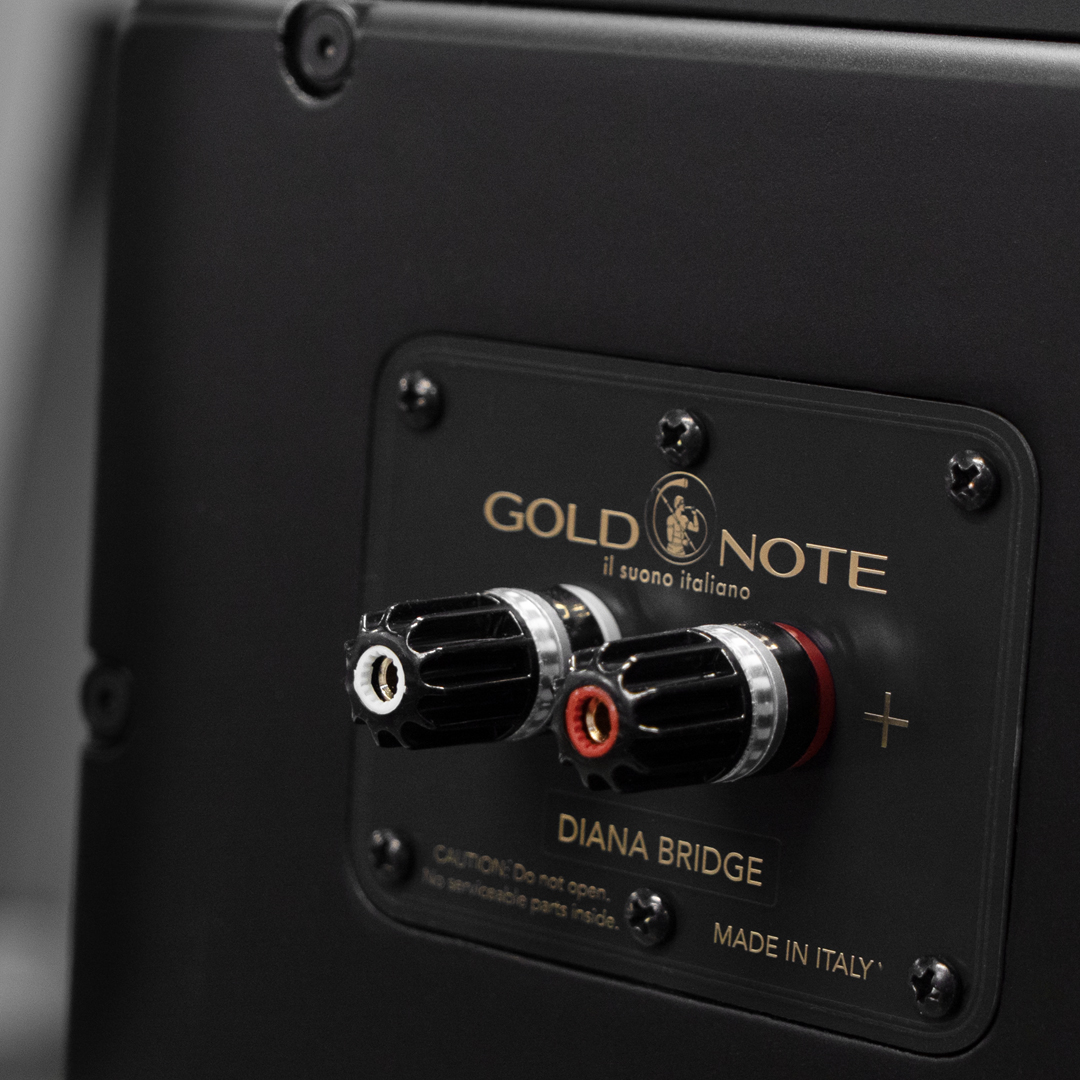 Propojovací můstek Diana Bridge se zlatým logem Gold Note nasazený na zadních konektorech modulu