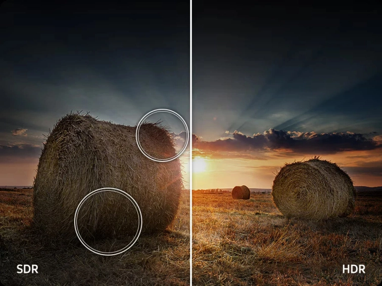 Sytě barevný obraz na televizoru Samsung QE65Q7F zdůrazňující AI Color Booster Pro