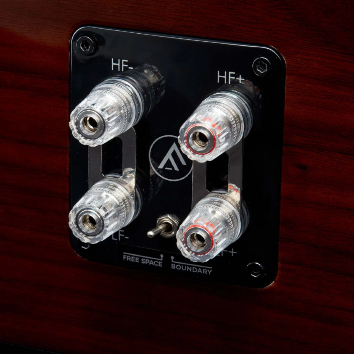 Zadní terminálový panel Fyne Audio F57SP-6 s bi-wire svorkami HF a LF a přepínačem Free Space / Boundary